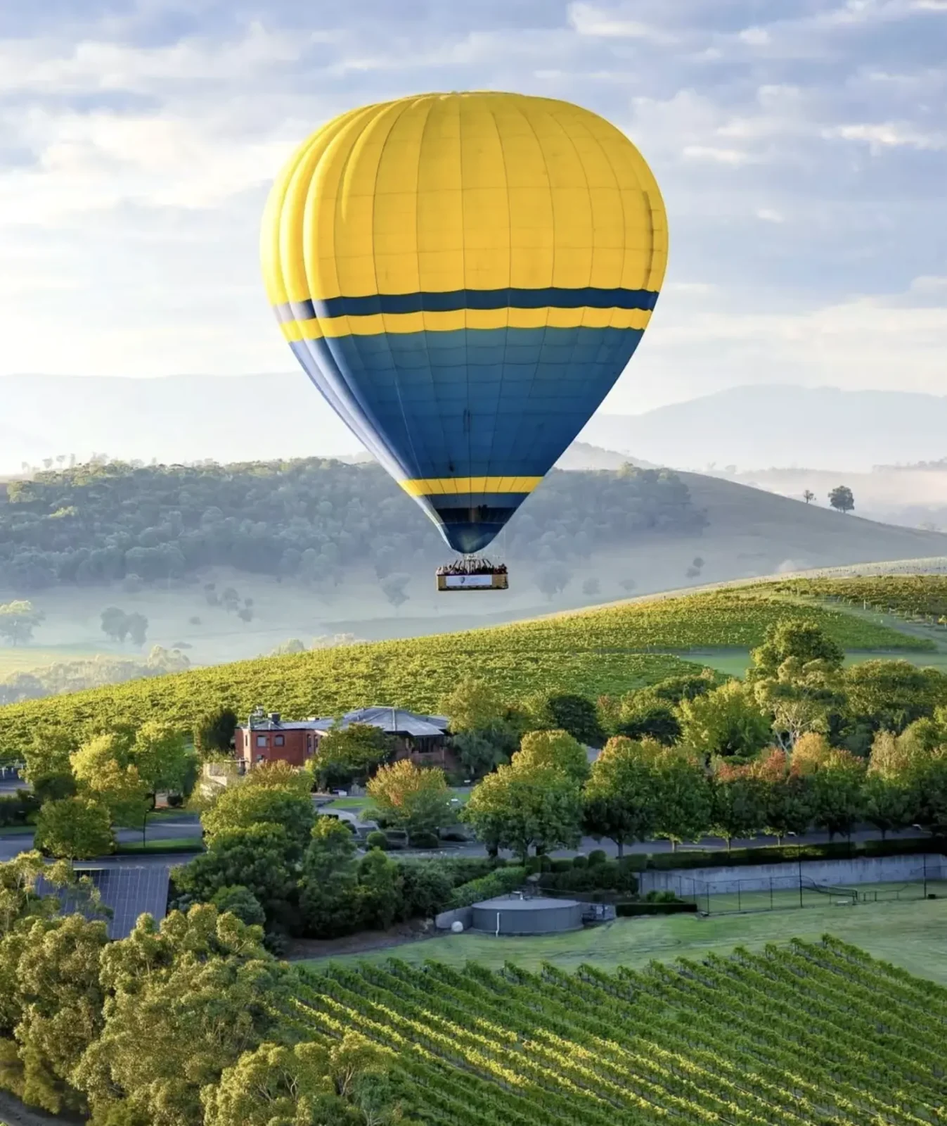 1 Day Yarra Valley Wine Tour