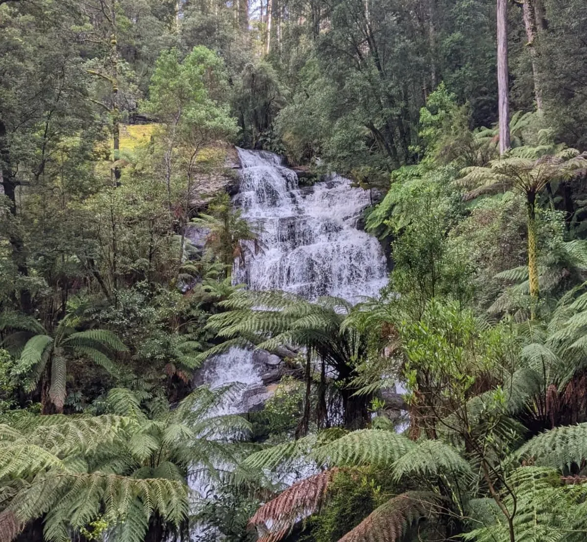 things to do in the otways