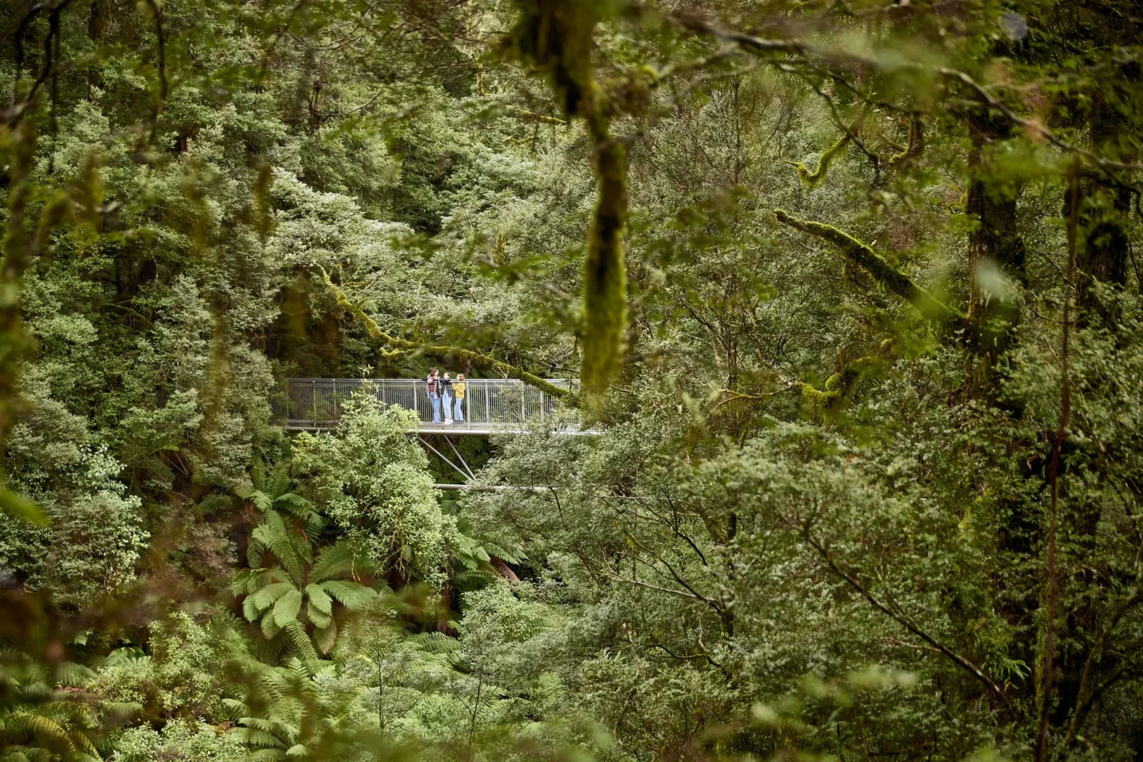 things to do in otway national park