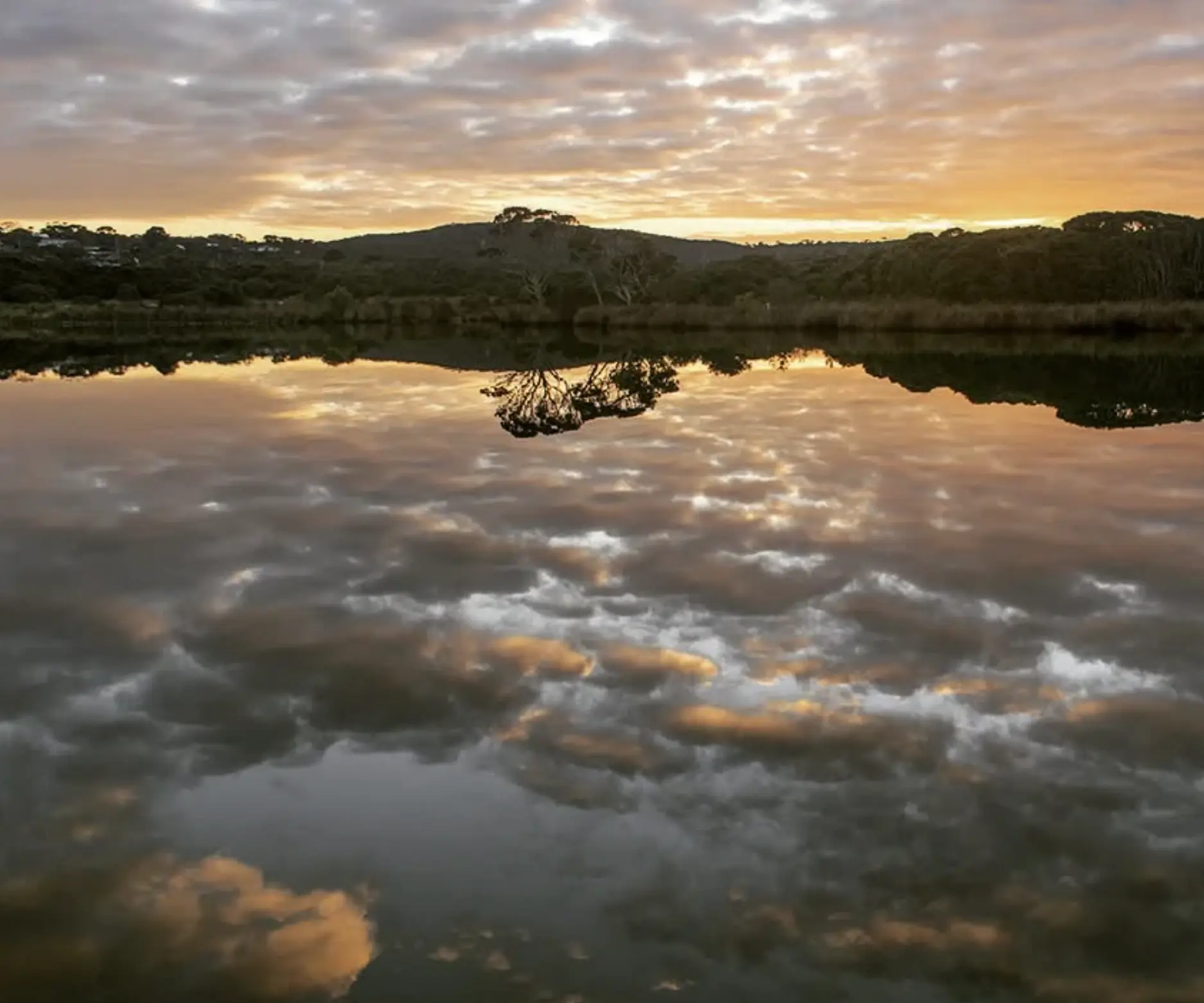 A Local’s Reflection