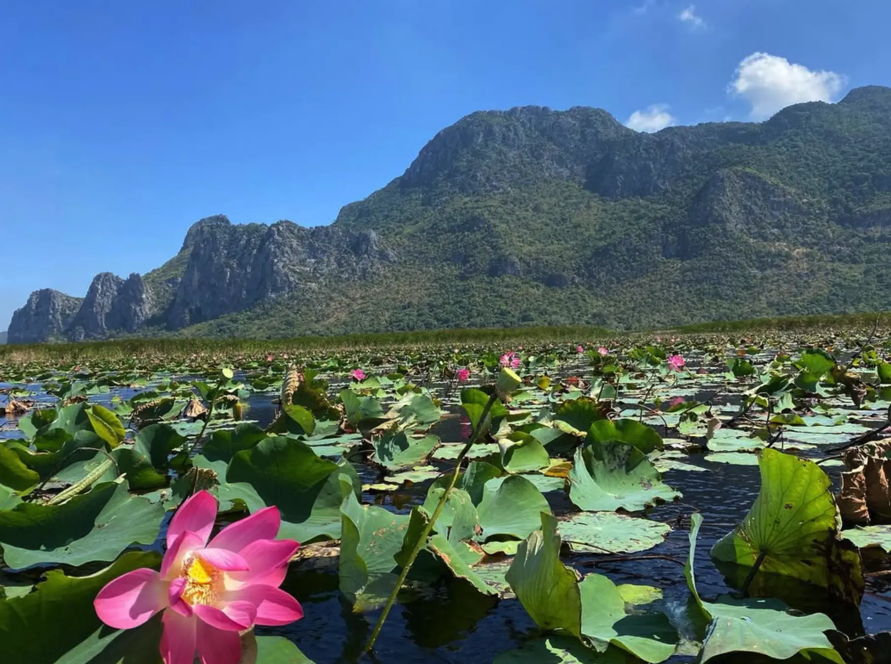 A Personal Yarn from the Trail