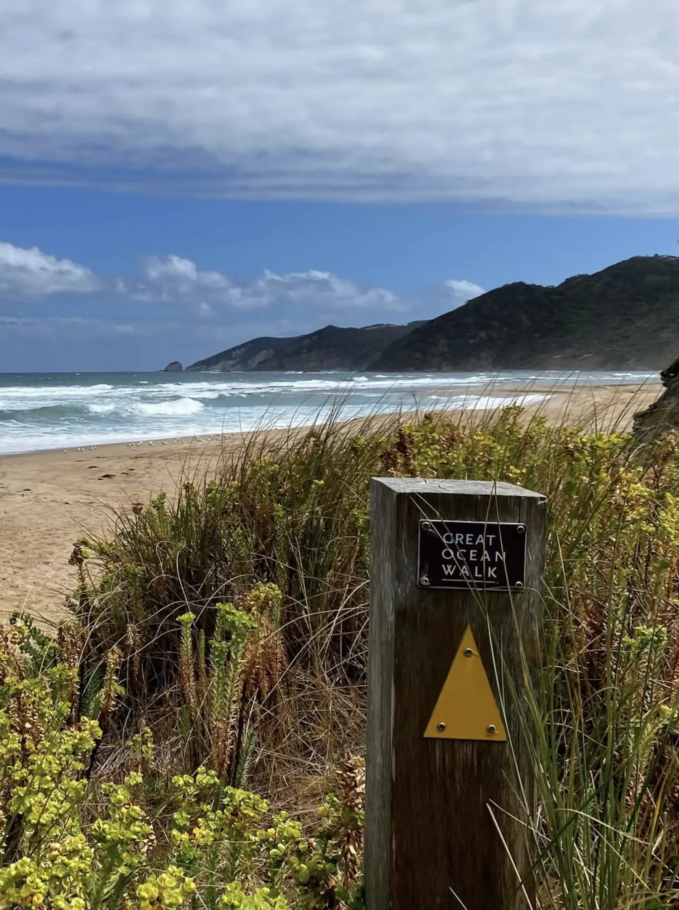 A Short History Of The Trail