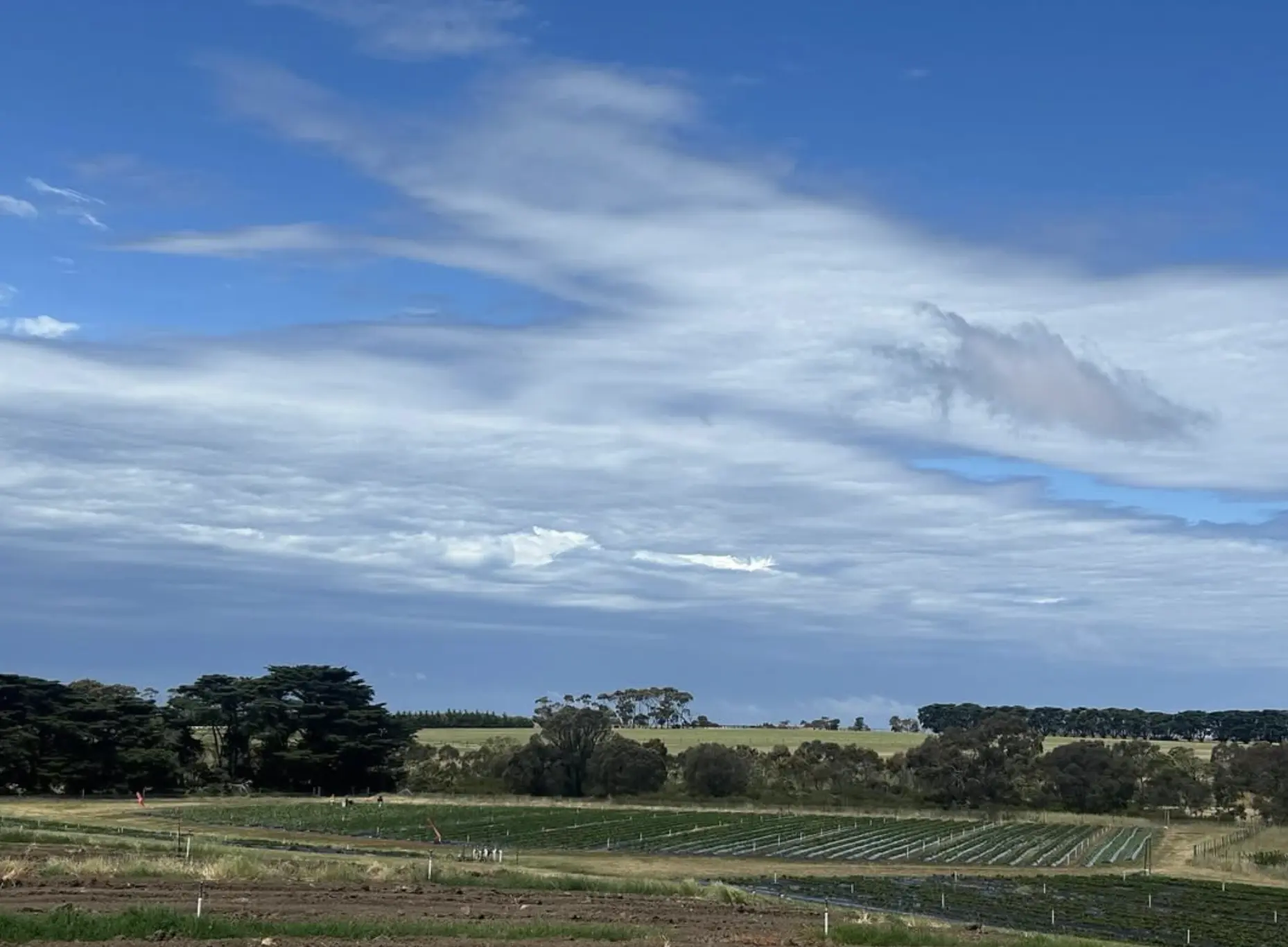 Berry World – Timboon