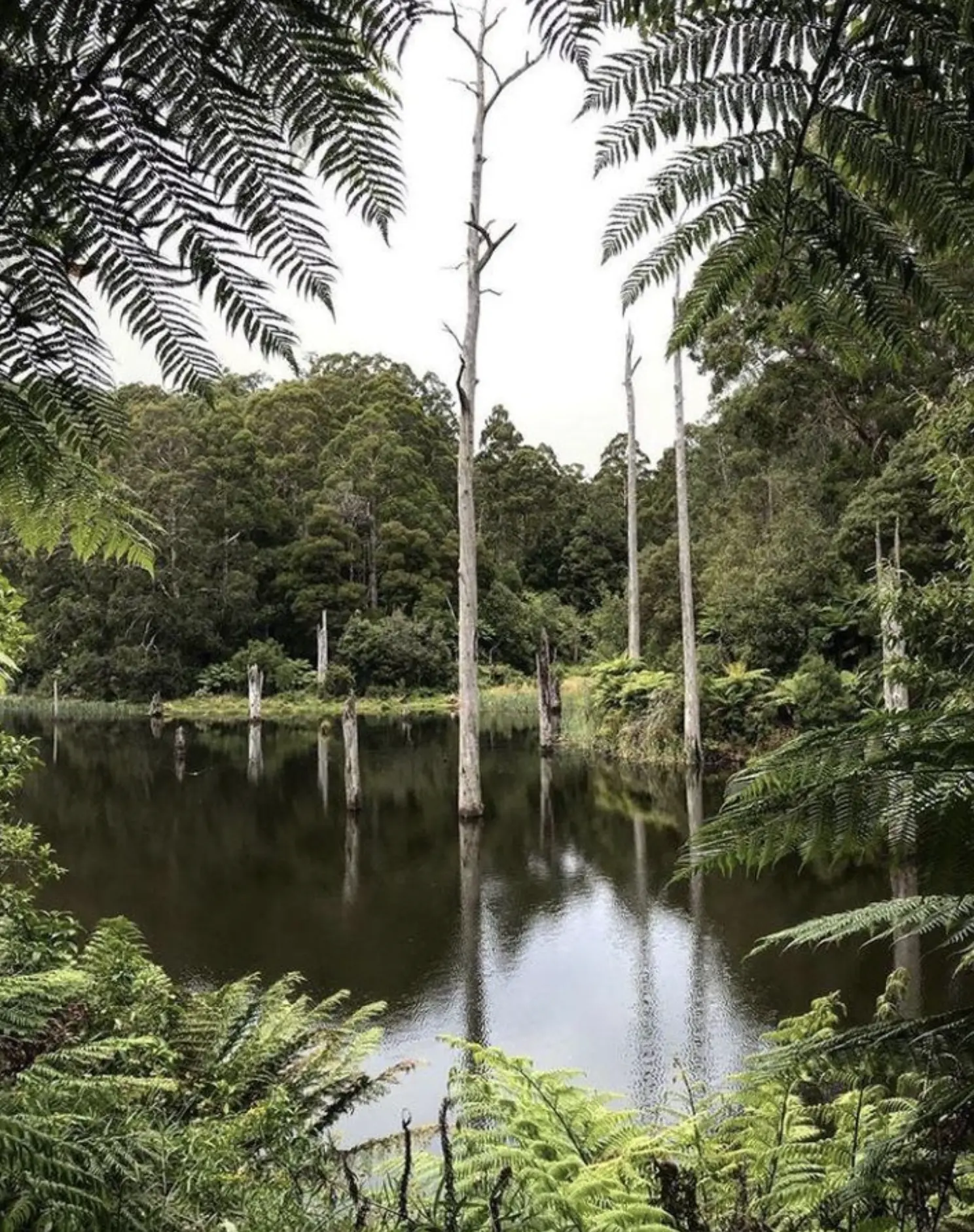 Best Times to Visit Lake Elizabeth