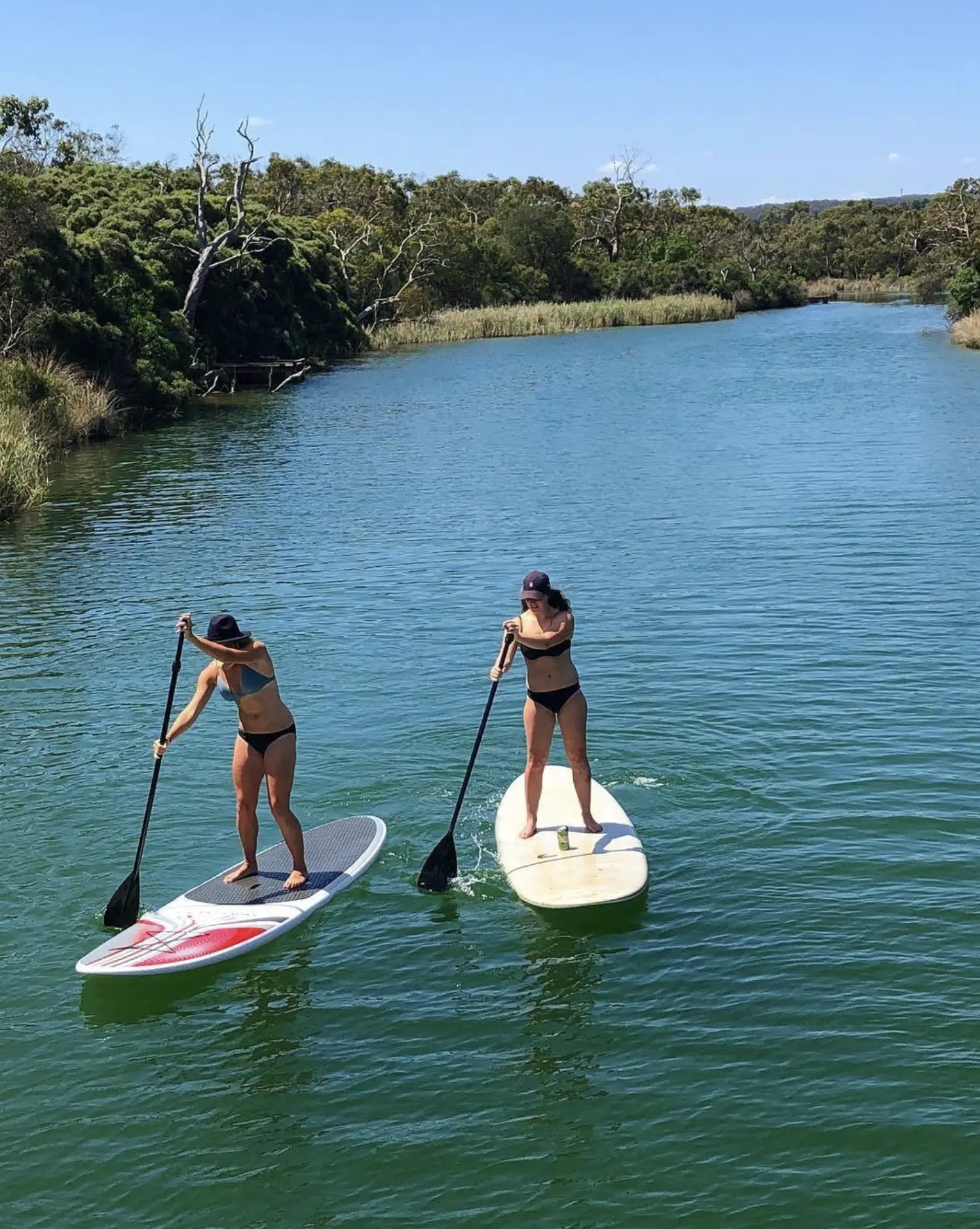 Canoe and SUP Hire