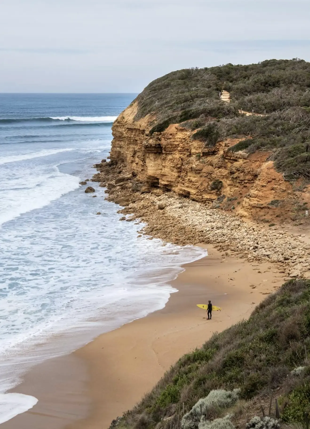 Coastal Dune Systems