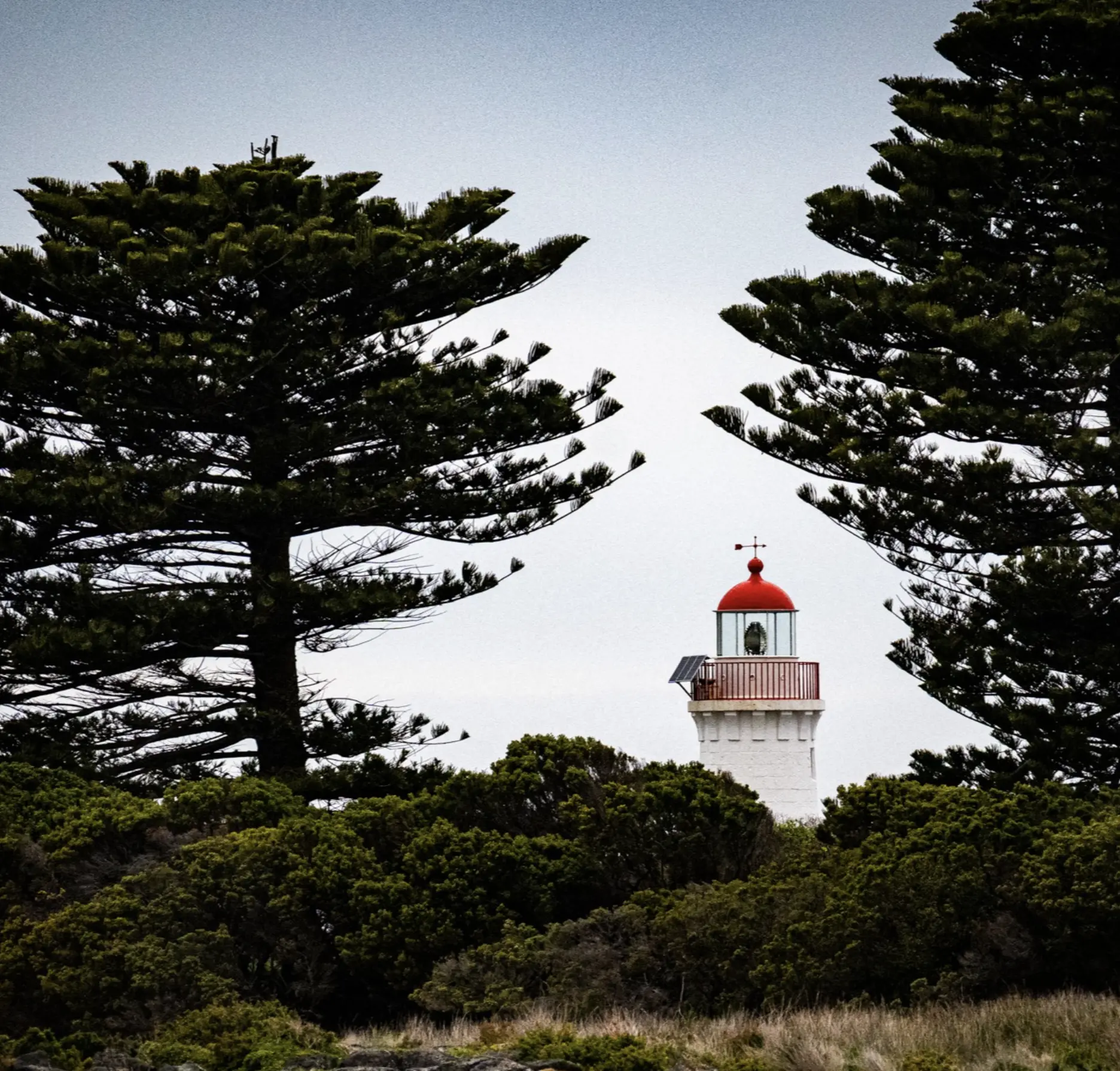 Coastal Heritage Walks