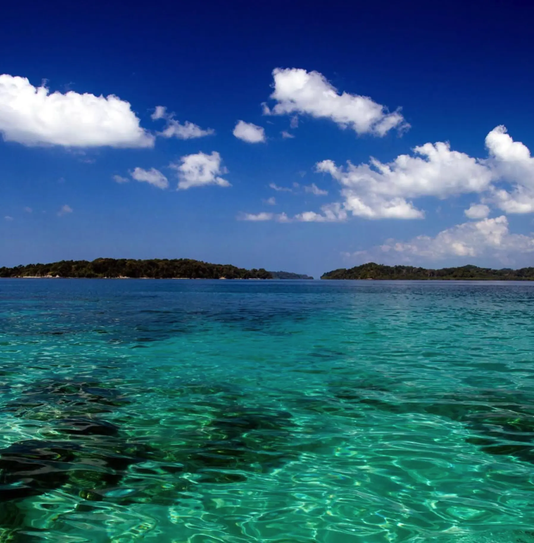 Coastal Walks Worth Your Boots