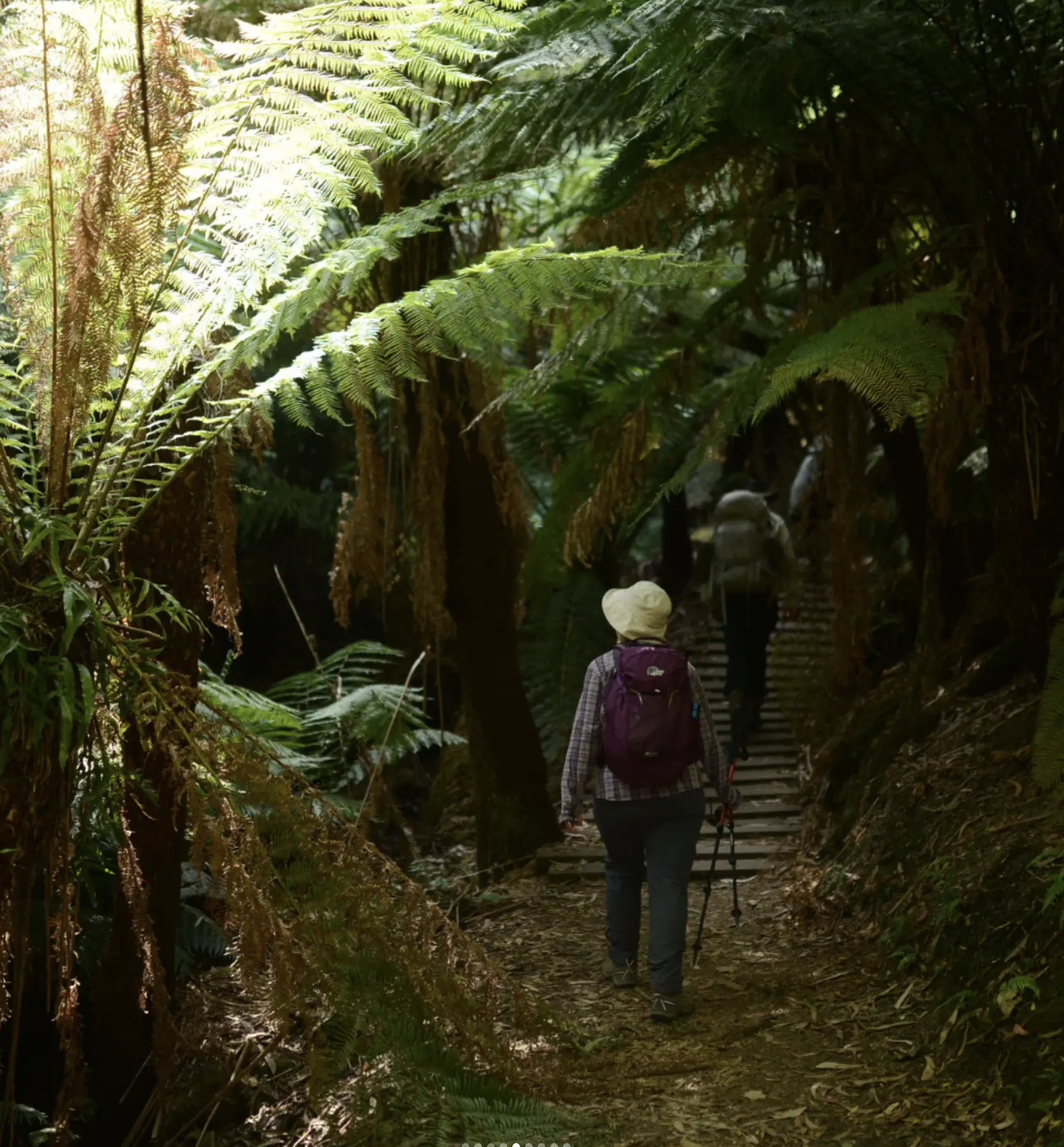 Common Mistakes First-Timers Make