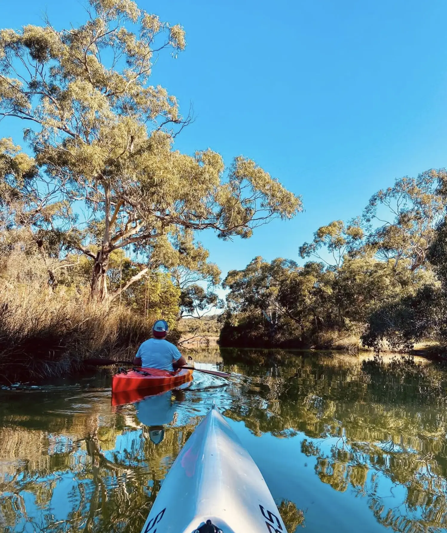 Easy Paddles For Everyone