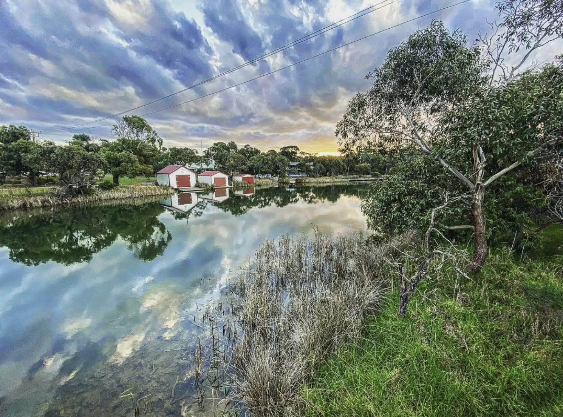 Estuaries And Wetlands — The Water Threads