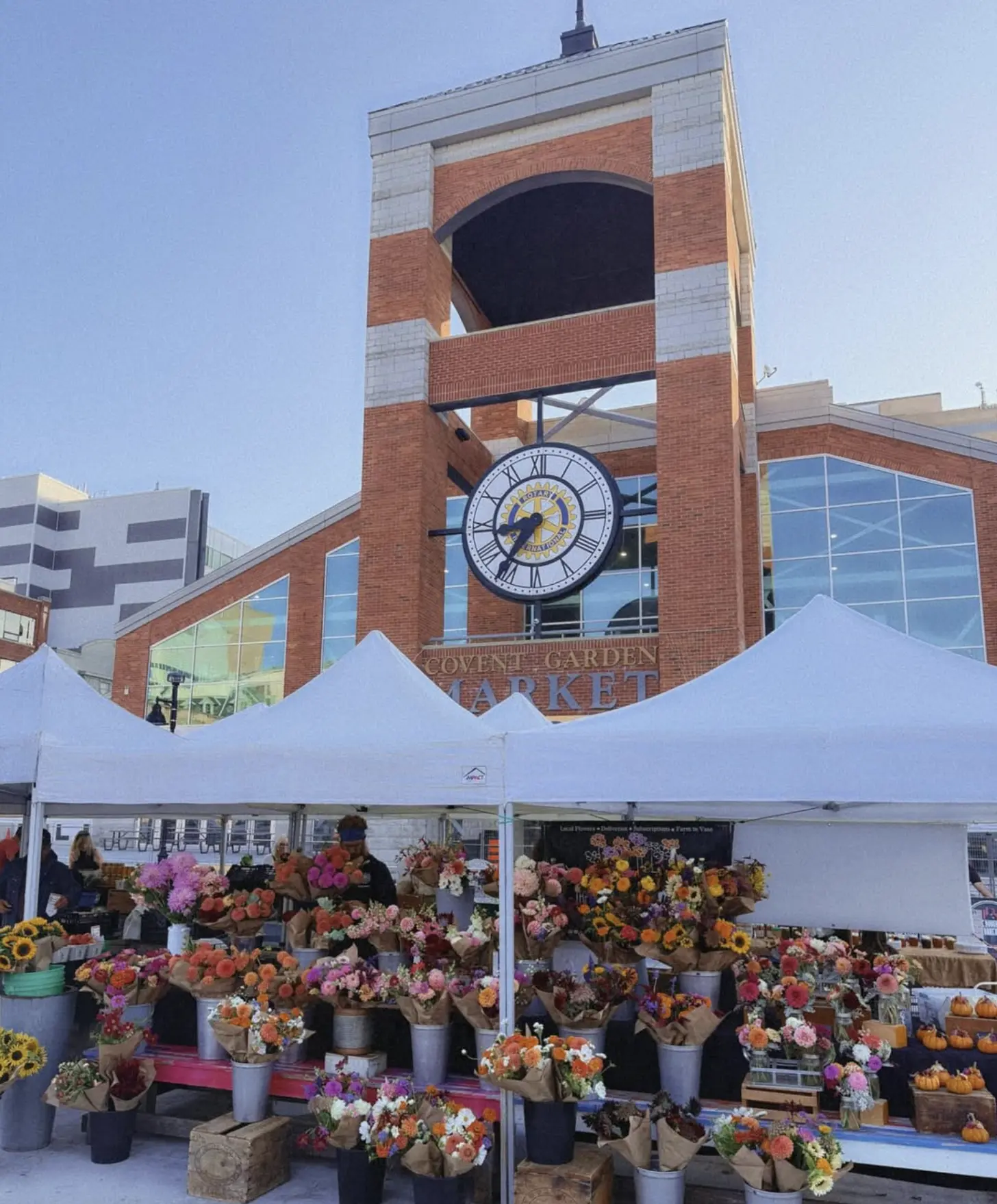 Garden Market – Local Produce And Community Vibe