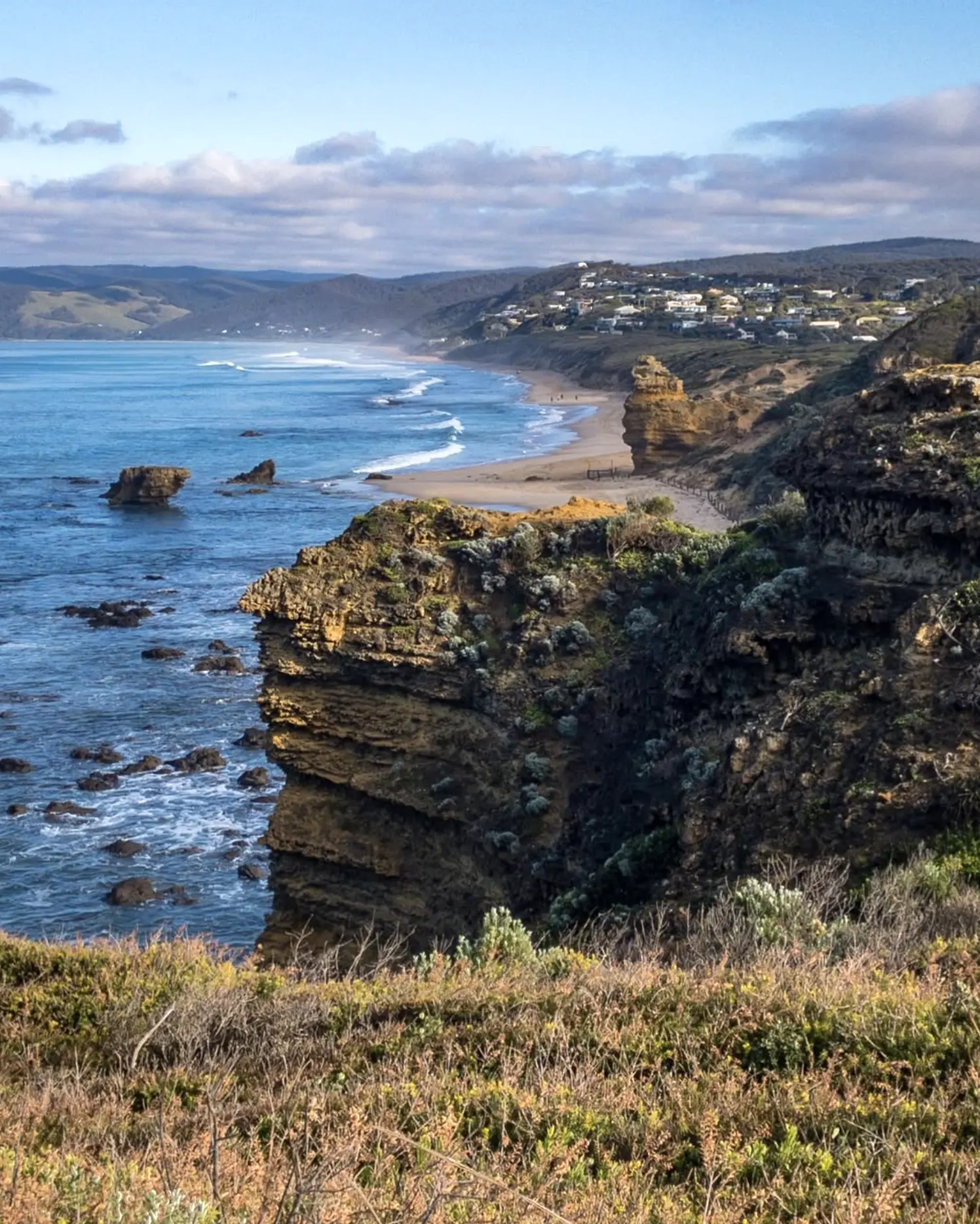 History — Rooted In Sea And Story