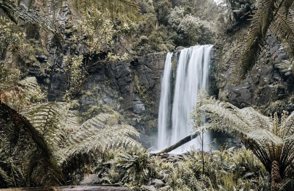 great otway national park things to do