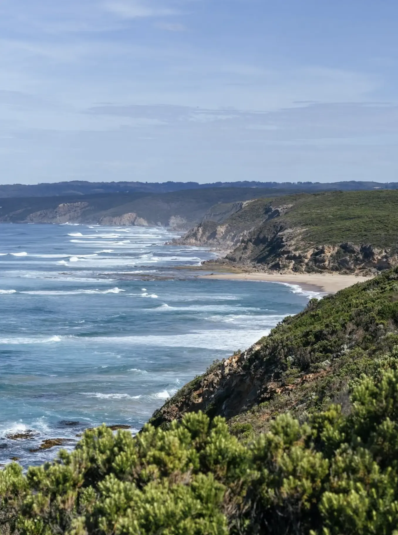 Local Stories From The Trail