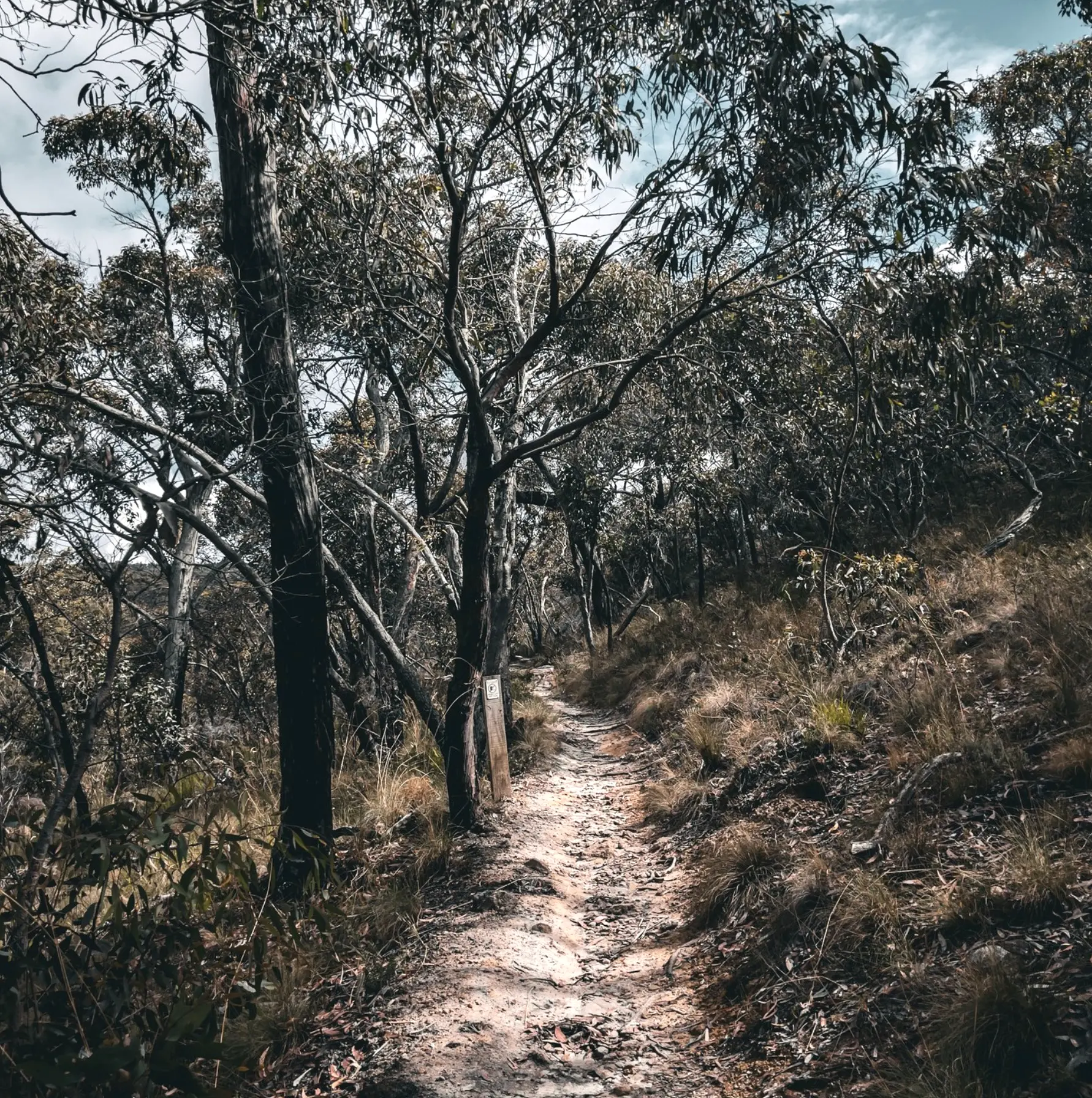 Outdoor Pursuits And Adventure