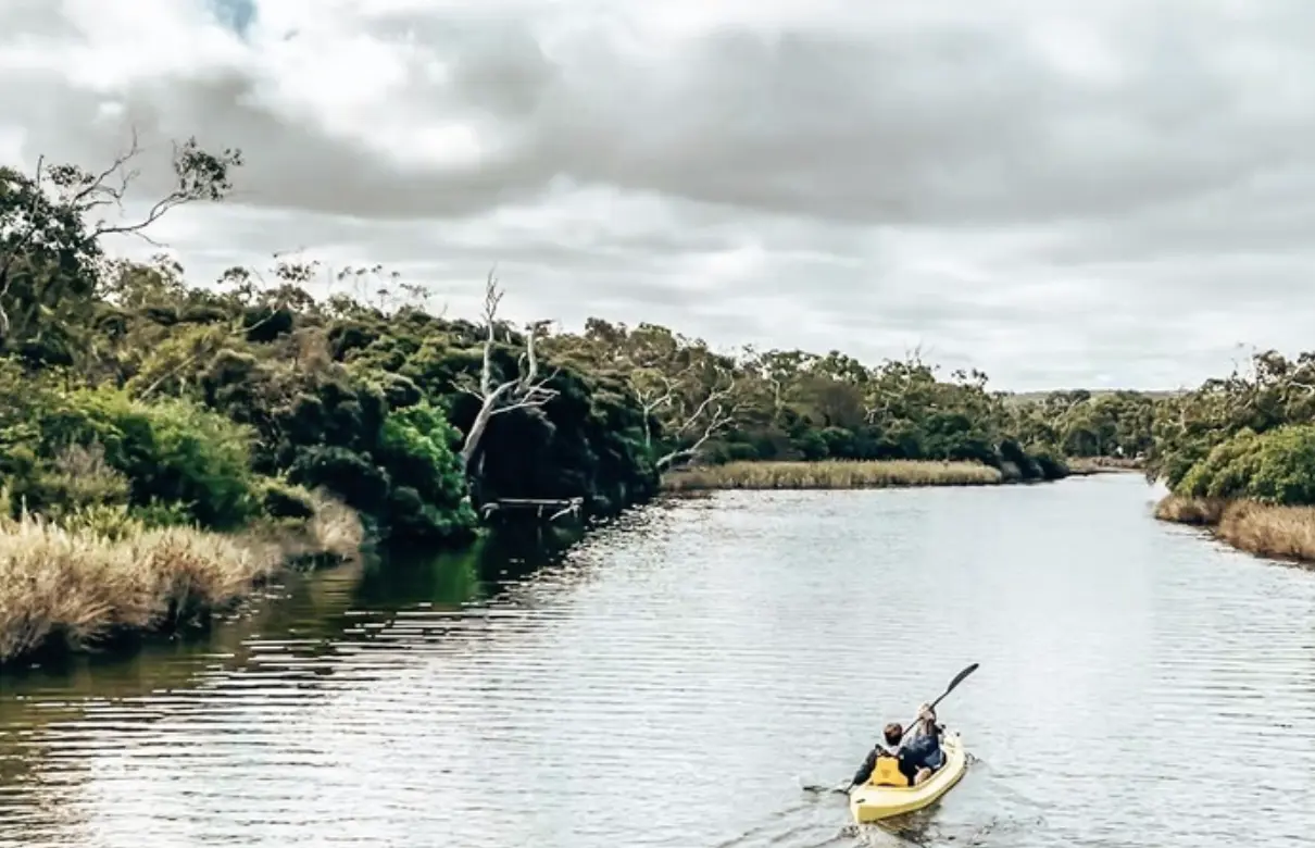 Peaceful Waters And Natural Beauty