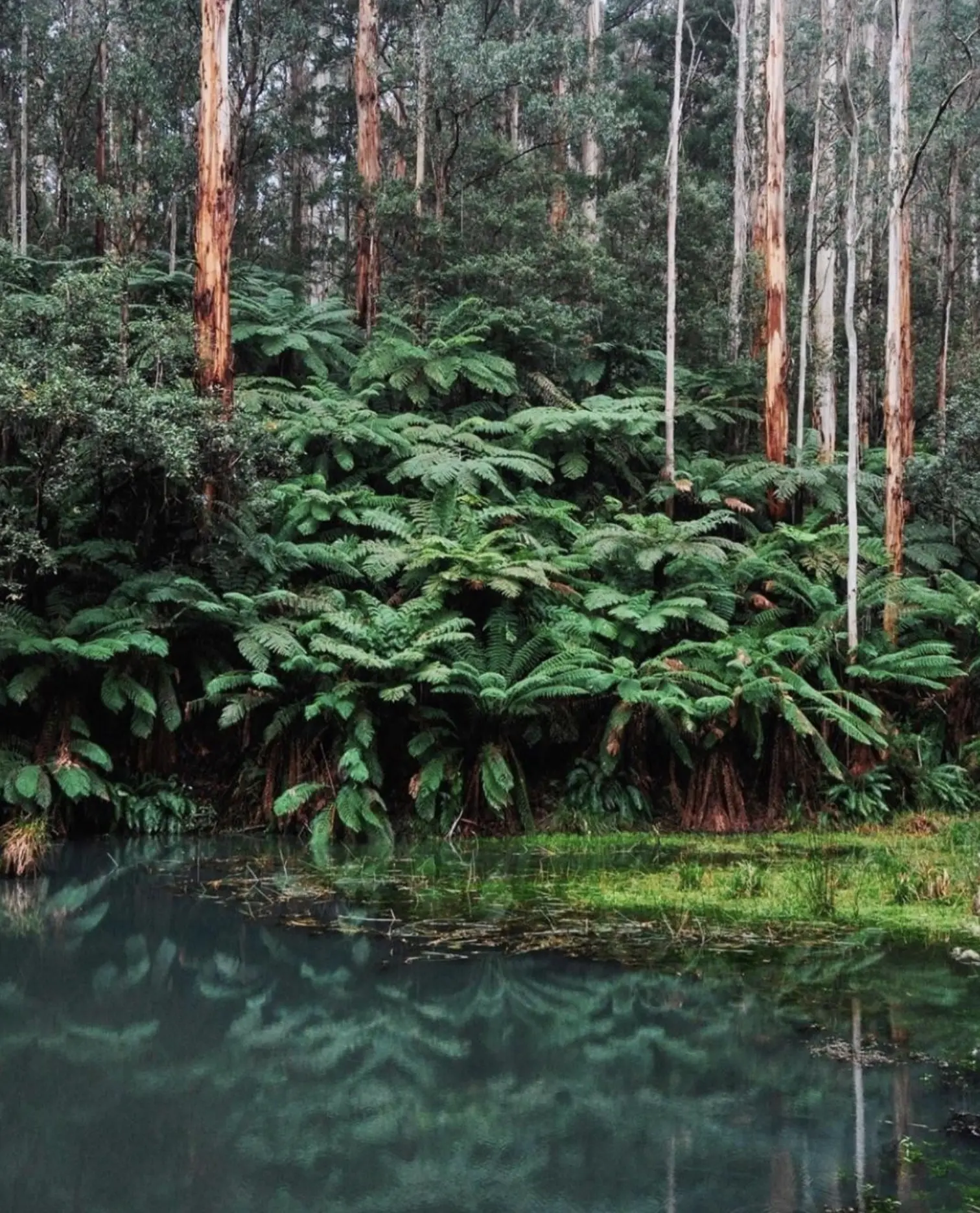 Scenic Trails in This Hidden Valley