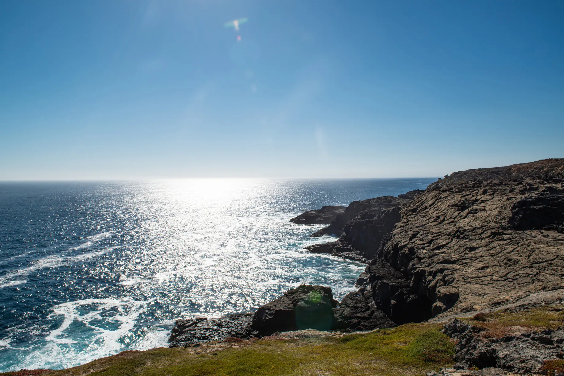 See the Blowhole