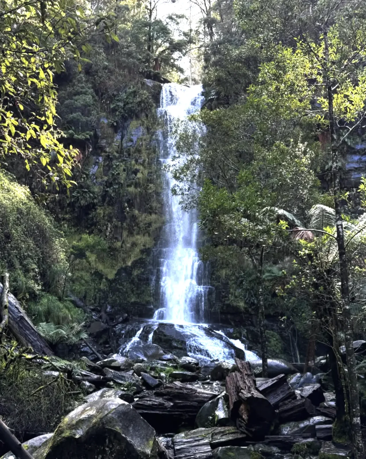 The Heart Of Lorne’s Waterfall Country