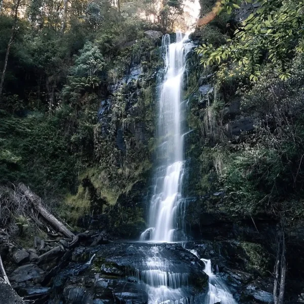Visit Erskine Falls