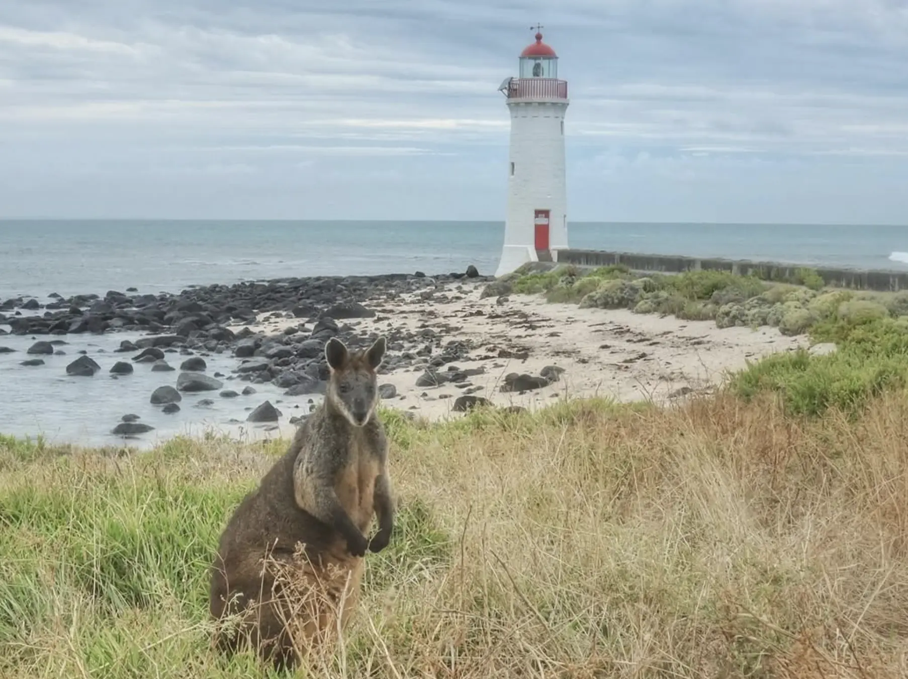 Wildlife Encounters Nature on Your Doorstep