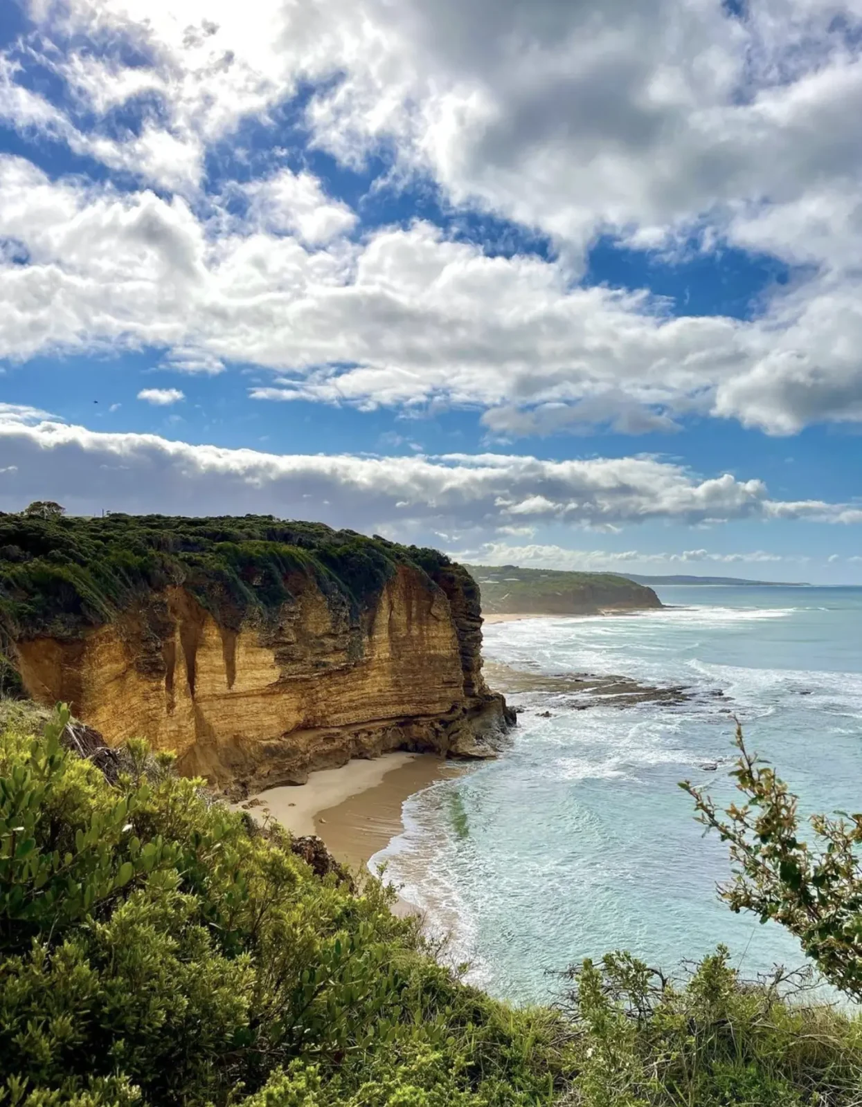ecosystems along the Surf Coast Walk