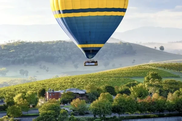 1 Day Yarra Valley Wine Tour