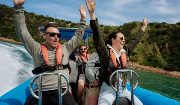 things to do in phillip island things to do in phillip island