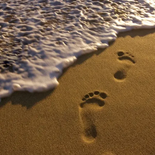 Foot Prints