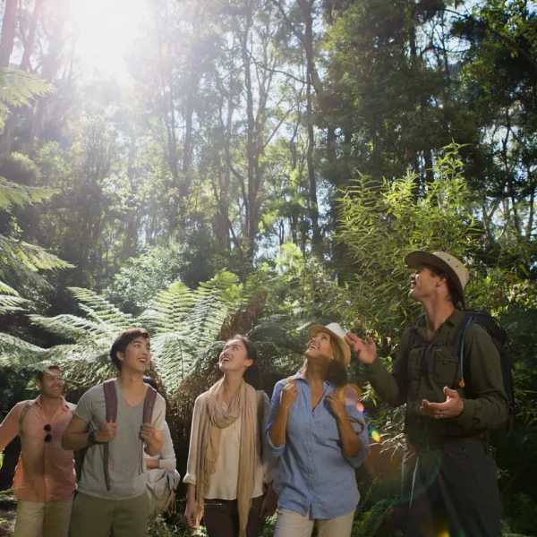 Great Walks of Australia - the Great Ocean Walk by Bothfeet