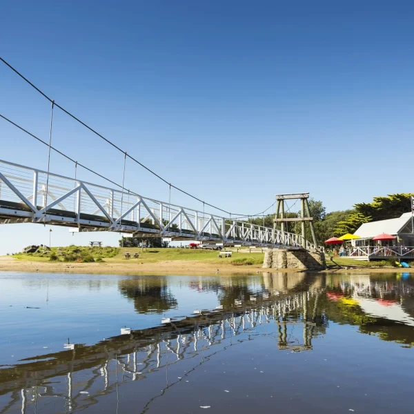 cheap great ocean road tour