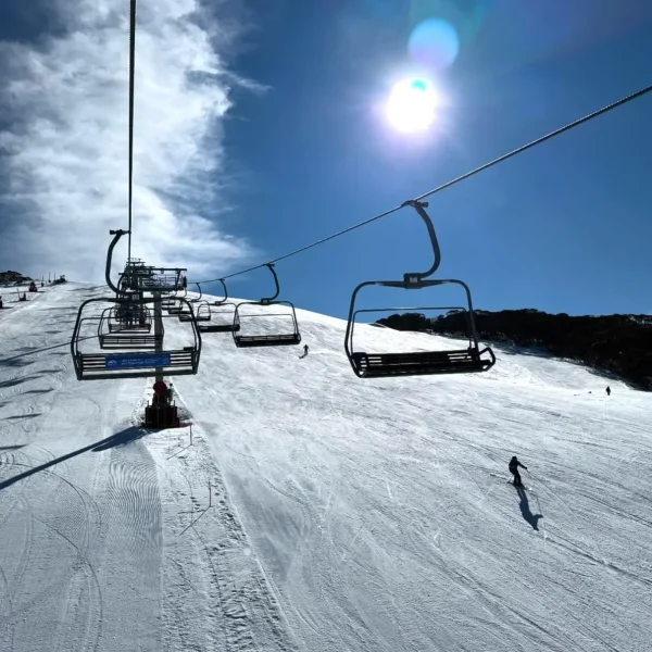 day trip to mount buller