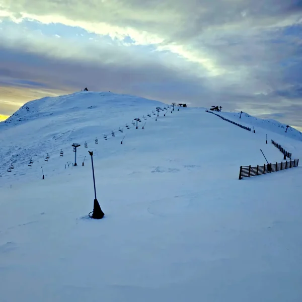day trip to mt buller