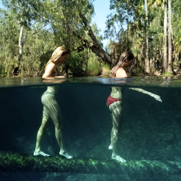 day trips to mornington peninsula