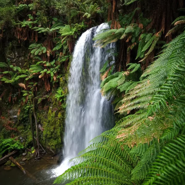 grampians road trip