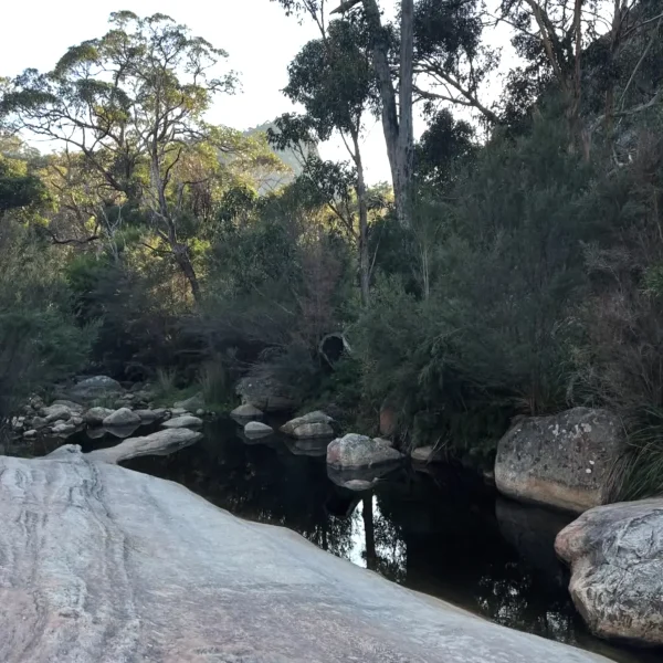 great ocean road 2 day trips