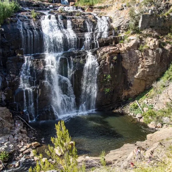 great ocean road grampians tour