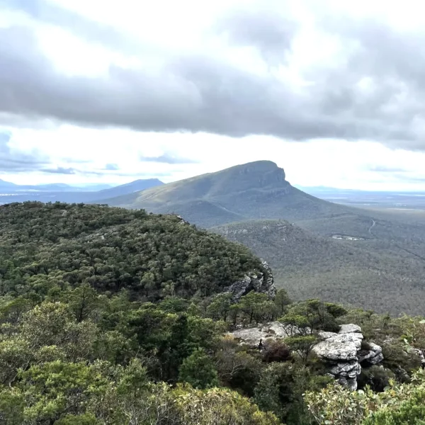 great ocean road & grampians tour