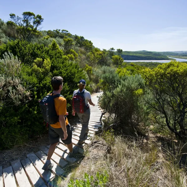 great ocean road melbourne tour