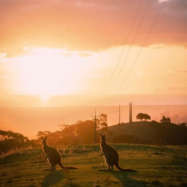 great ocean road sunset tour