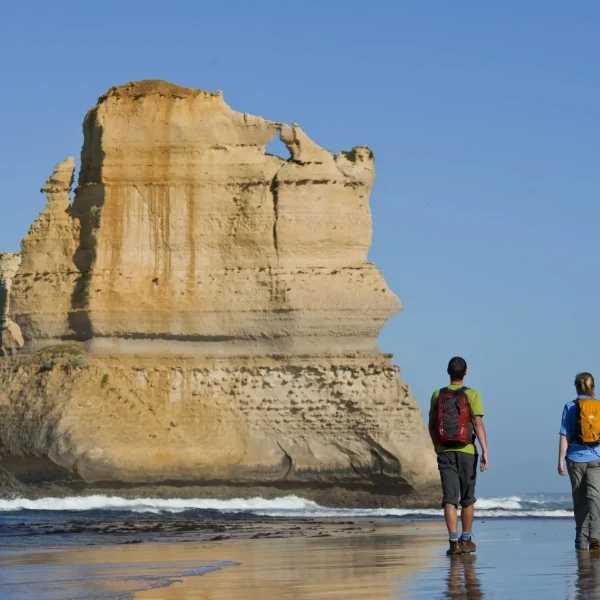 great ocean road tours from melbourne