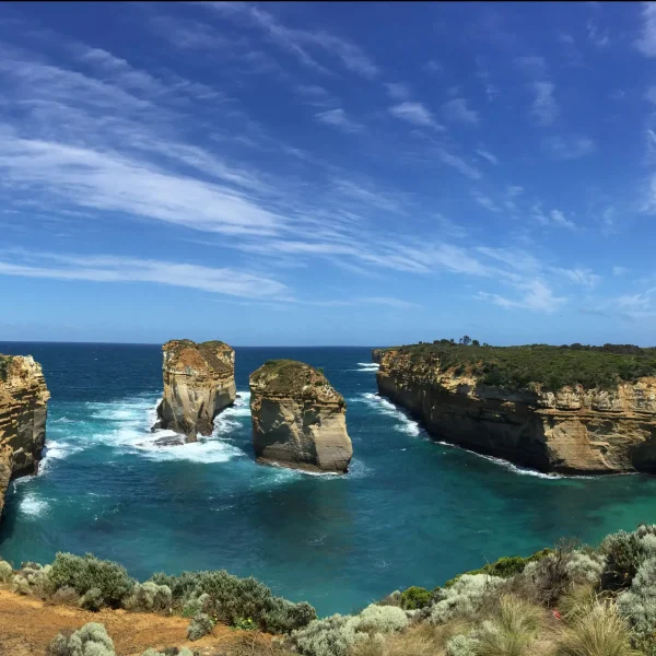 great ocean tour melbourne