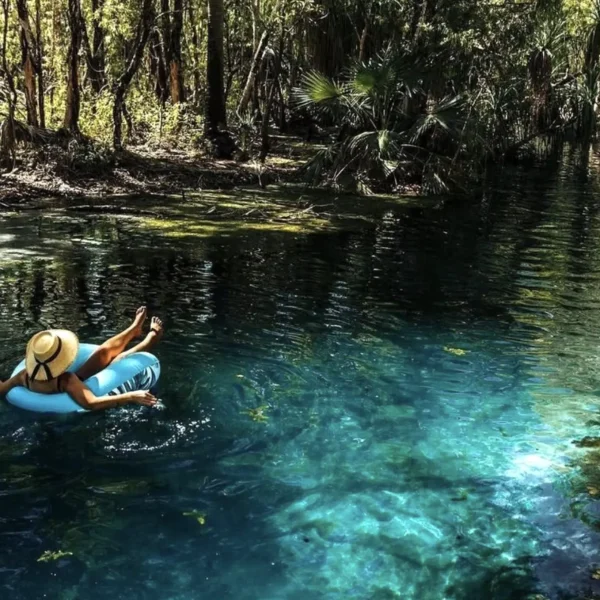 guided tours of mornington peninsula