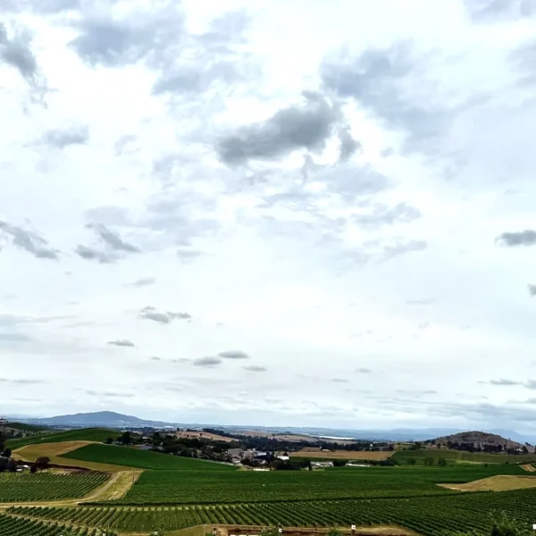 melbourne winery tour