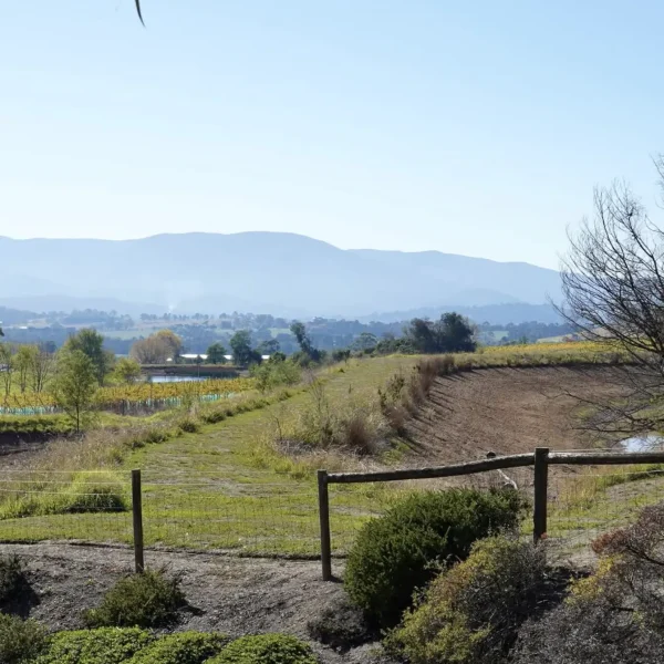 melbourne yarra valley wine tour