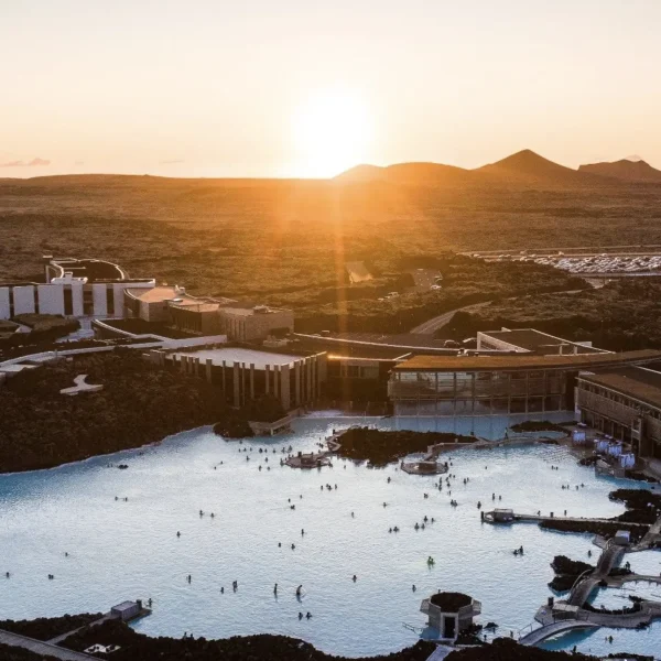 mornington peninsula day tour