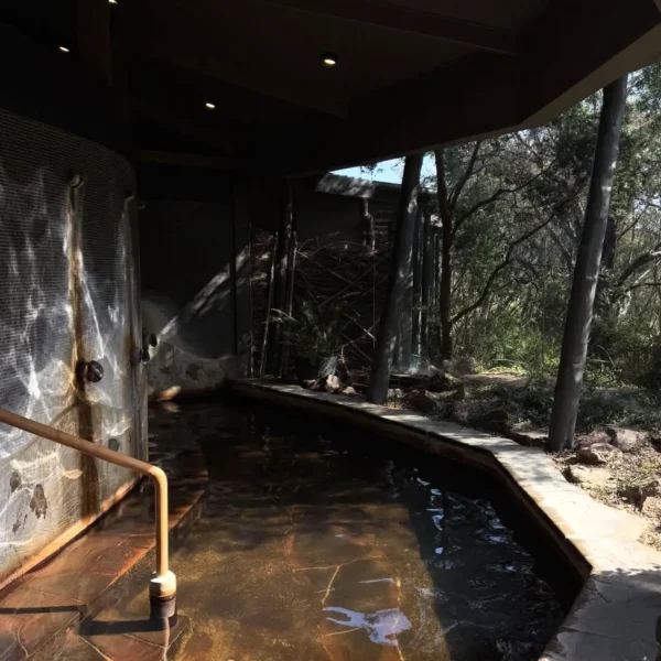 mornington peninsula day trip from melbourne