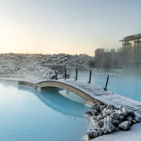 mornington peninsula day trip