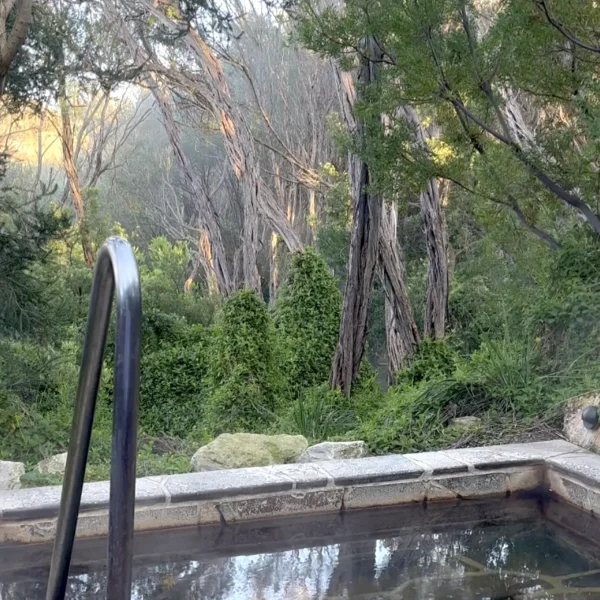 mornington peninsula hot springs tour